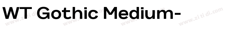 WT Gothic Medium字体转换